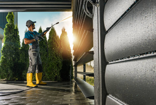 Best Gutter Cleaning  in Bismarck, MO